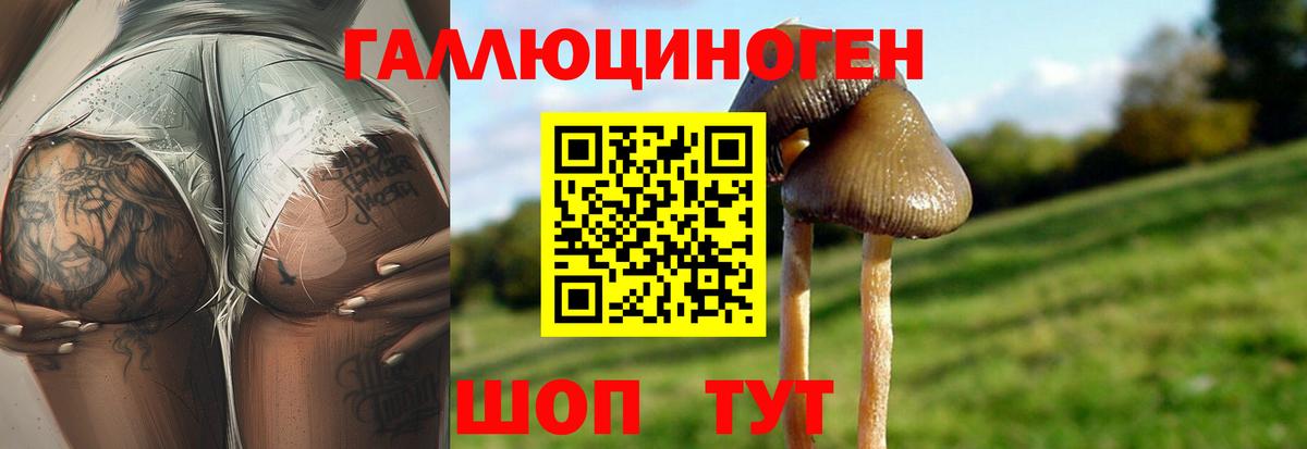 Саяногорск  Псилоцибиновые грибы мухоморы  Вход с VPN 